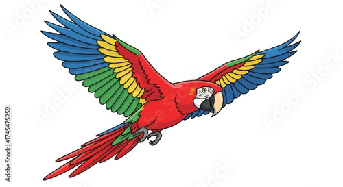 Colorful Parrot in Flight with Wings Spread Wide.