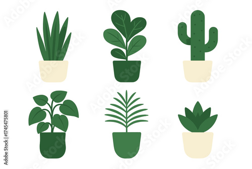 Various stylized potted indoor houseplants and succulents on white background