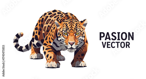 Majestic Spotted Jaguar Illustration Walking Forward.