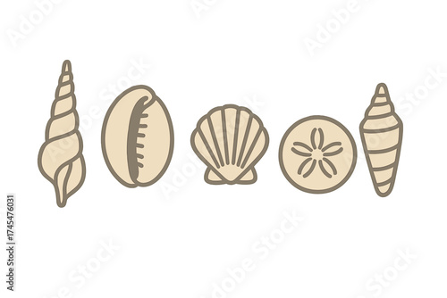 Various beige seashells and a sand dollar in a stylized outline graphic