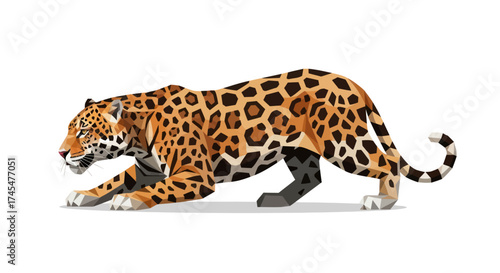 Crouching Jaguar with Distinctive Spotted Coat Ready to Pounce.