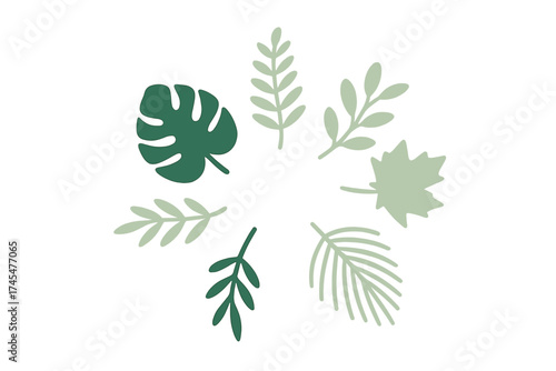 Minimalist arrangement of various green botanical elements and tropical leaves forming a decorative circle