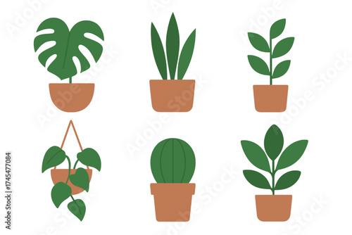 Six popular houseplants in terracotta pots rendered in minimalist flat design style