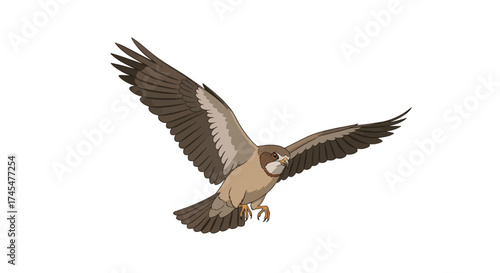 Majestic Eagle Soaring with Wings Spread Wide in Flight.