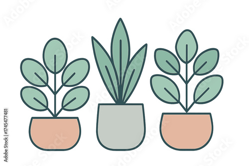 Minimalist row of three potted houseplants with green leaves and pastel colored planters