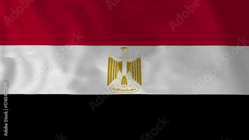 egypt flag waving in the wind	
