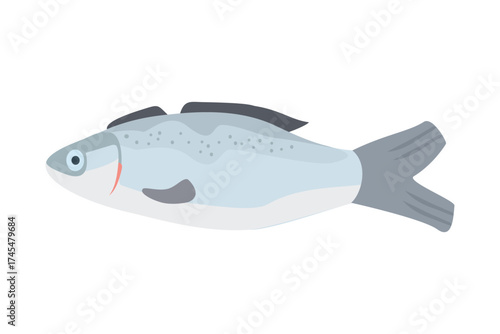 Freshwater Fish. Blue Gray Fish Illustration. Cartoon Fish Illustration. Fish Design. 
