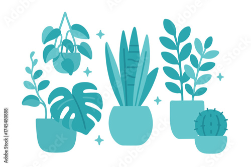 Popular indoor houseplants collection featuring snake plant, monstera, and cactus in teal pots