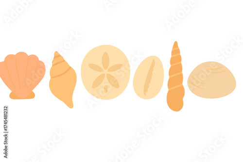 Assortment of marine shells including scallop, conch, sand dollar, and clam in warm earthy tones