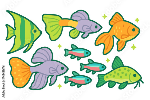 Colorful assortment of popular aquarium fish species including goldfish angelfish and guppies