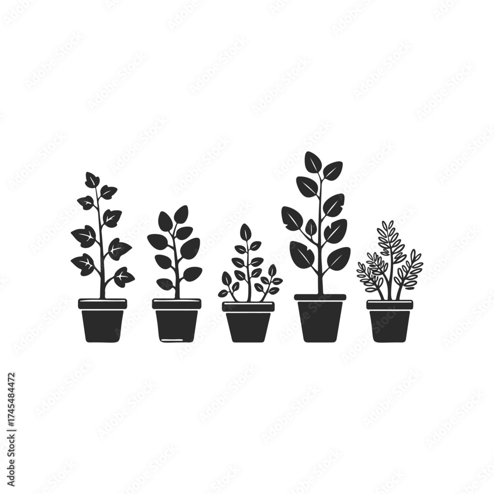 Obraz premium Silhouette of five diverse potted plants on white background