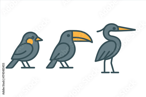 Stylized collection of three birds: small songbird, tropical toucan, and wading heron