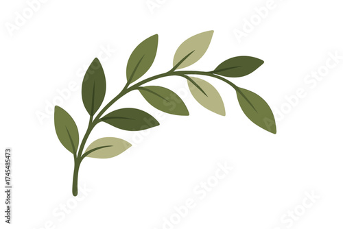 Minimalist botanical element with curved stem and various shades of green foliage