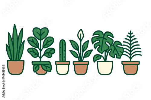 Collection of popular green houseplants in terracotta and white pots on a white background