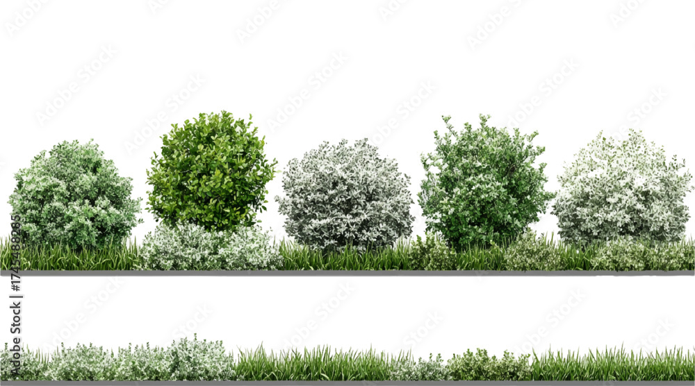Fototapeta premium Vector Black and White Shrubs and Grass Line Art for Landscape, Garden, and Architecture Drawing – Botanical Elements Isolated on White vector design 