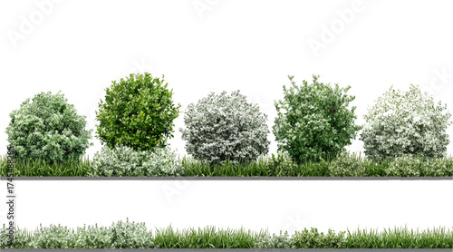 Vector Black and White Shrubs and Grass Line Art for Landscape, Garden, and Architecture Drawing – Botanical Elements Isolated on White vector design 