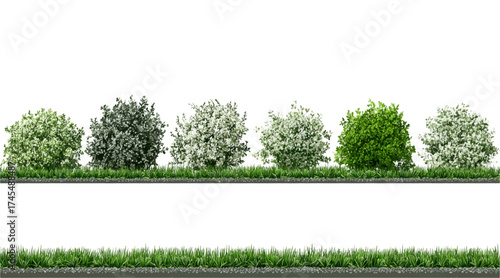 Vector Black and White Shrubs and Grass Line Art for Landscape, Garden, and Architecture Drawing – Botanical Elements Isolated on White vector design 