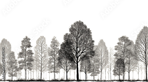 Minimal CAD Tree Line Drawing Architectural Wetland Forest Section Outline Side View Landscape Design Illustration Plot and tree side block Outline vector design pattern, Minimal CAD Tree Line Drawing