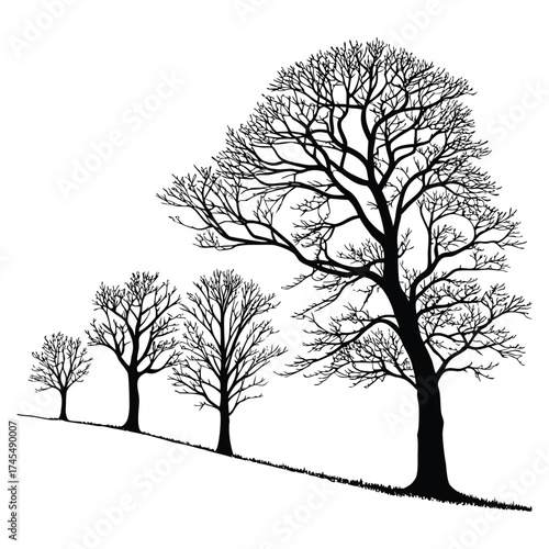 Black vector illustration of bare trees in a row on a sloping hill with detailed branches in silhouette style
