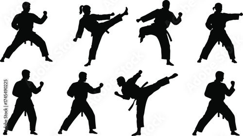 Martial arts silhouette vector set with high kicks, punches, defense stances, mid-air moves, traditional uniforms, and belt ranks