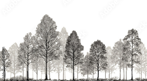 Minimal CAD Tree Line Drawing Vector Side View Architectural Tree Outline Set | Tropical & Oak Landscape Design Elements Watercolor Architectural Tree Vector Landscape Design Illustration Artistic