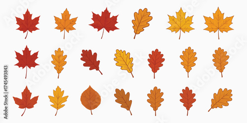 Autumn's Colorful Collection: A collection of vibrant autumn leaves in various shapes and hues, capturing the essence of the fall season.