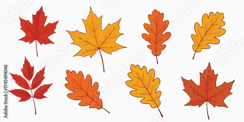 Autumnal Leaves: A vibrant collection of fallen leaves displays an array of colorful foliage, heralding the arrival of the autumn season and a season of harvest