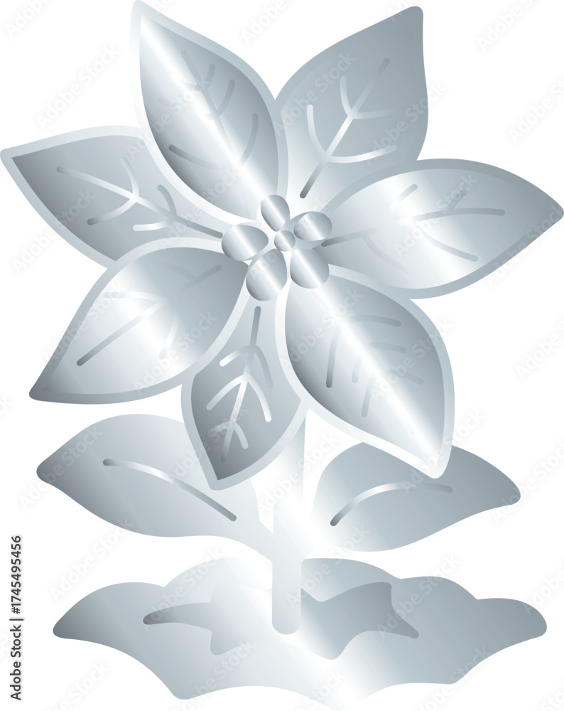Obraz premium Silver Poinsettia Flower