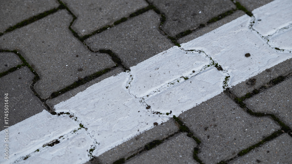 Obraz premium White line marking on cracked pavement