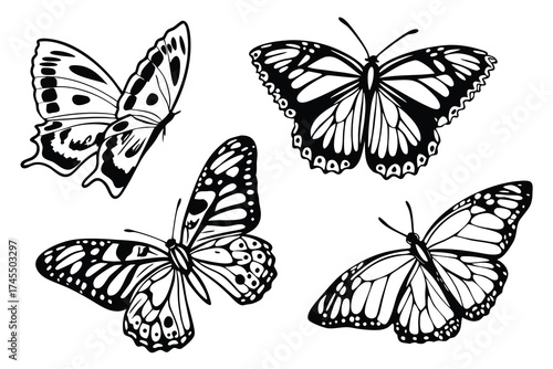 Black and White Butterfly Silhouettes Wing Patterns insect flying