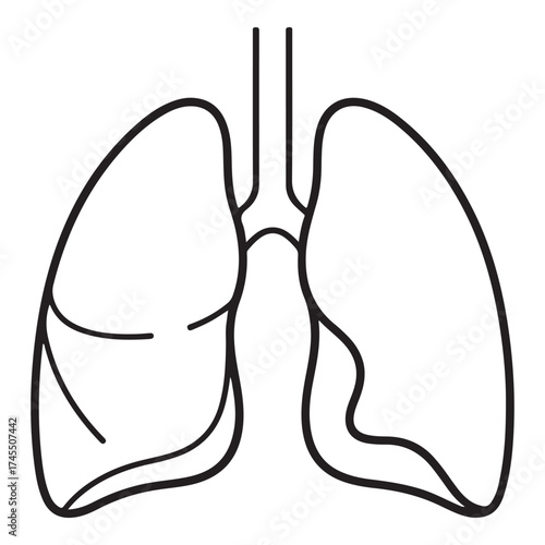Simple line drawing of human lungs