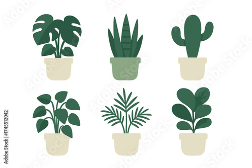 Set of popular indoor houseplants like Monstera, Sansevieria, and cactus in decorative pots