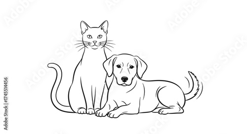 Cute Cat and Dog Pets Sitting Together on an Isolated White Background