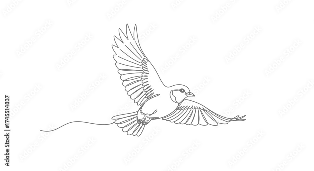 Obraz premium Graceful Bird Soaring in Flight, Rendered in Continuous Line Art Style, Isolated White Background