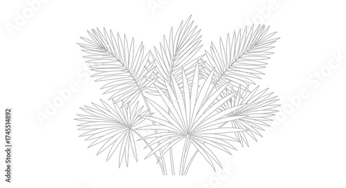 Detailed Tropical Palm Leaves Foliage in One Line Art Style, Isolated White Background