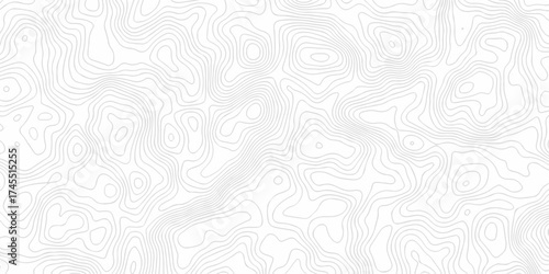 Vector white lines relief wire area topo map design. White background topographic world grid wave Topographic map geographic line texture.	