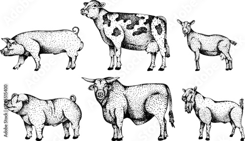 Intricate black-and-white engraving of a cow and foal, perfect for farm, equestrian, or rustic design projects.