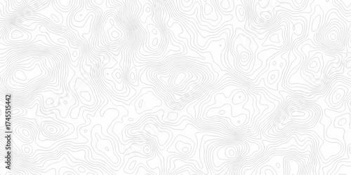 Vector lines relief wire area topo map design White background with topographic world grid wave Topographic map geographic line texture.	