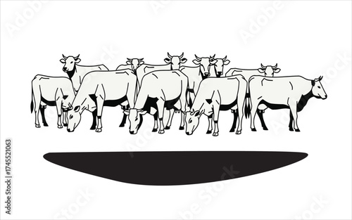 Vectorized Cow for print, sketch, Drawing, Decoration