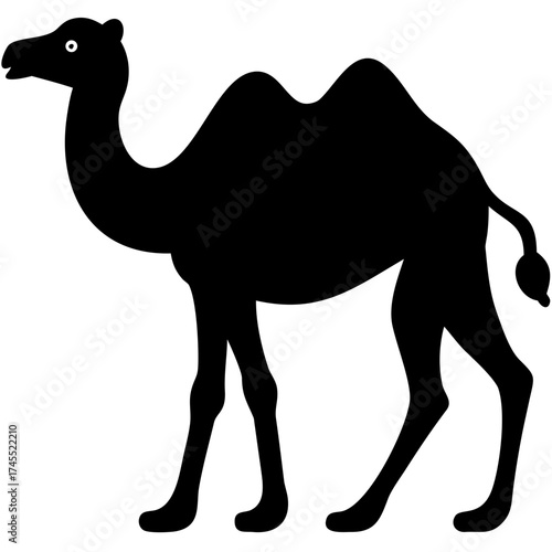camel cartoon illustration