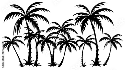 palm trees silhouettes