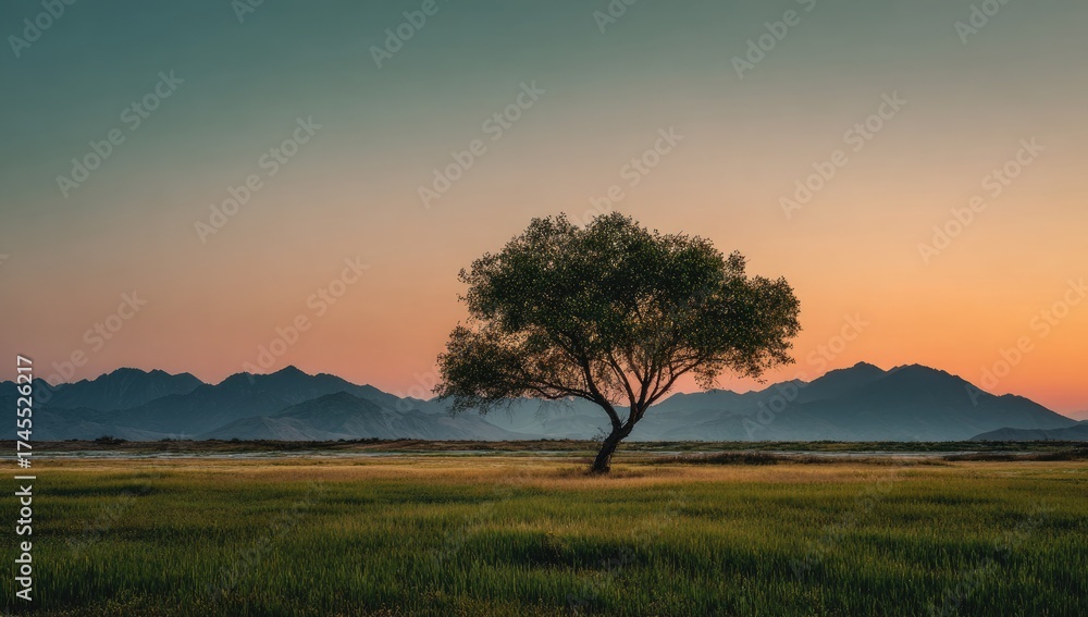 Fototapeta premium Solitary tree silhouetted against a vibrant sunset over a tranquil, grassy plain and distant mountain range. The sky displays a gradient of soft pinks, oranges, and blues