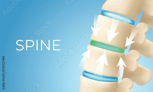 Spine Cushioning and Shock Absorption Concept