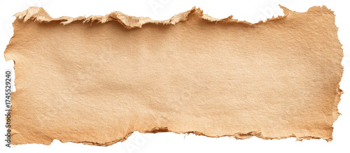 Wallpaper Mural Ripped piece of tan cardboard Torontodigital.ca