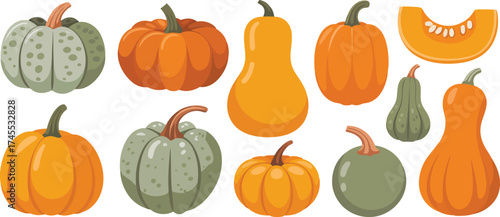 Collection of colorful and varied pumpkins and gourds for autumn harvest