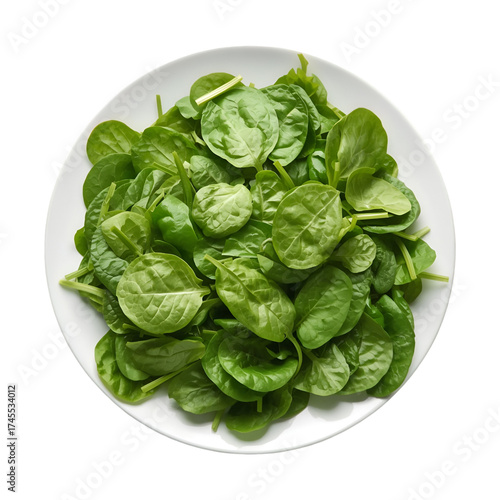 spinach leaves on white background
