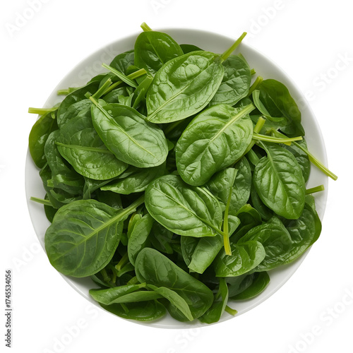 fresh spinach leaves on white background