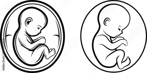 baby fetus vector icon