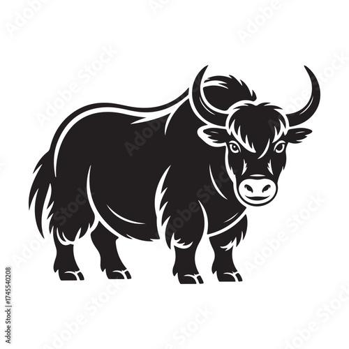 black and white bull