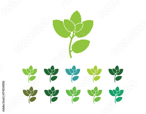 Mint leaves flat vector color icon design